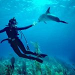 5 Filmes sobre Mulheres Reais Envolvidas com Sustentabilidade e Proteção Ambiental